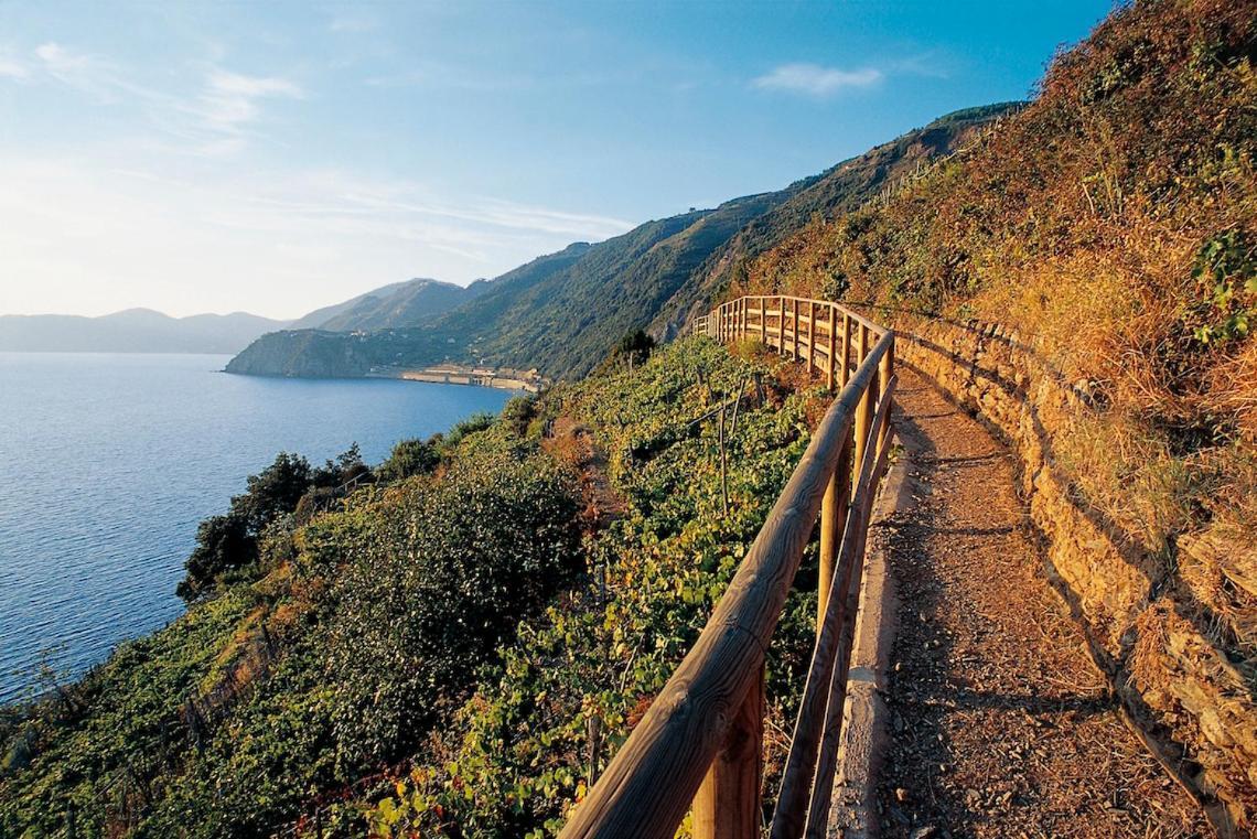Casa Caterina Daire La Spezia Dış mekan fotoğraf