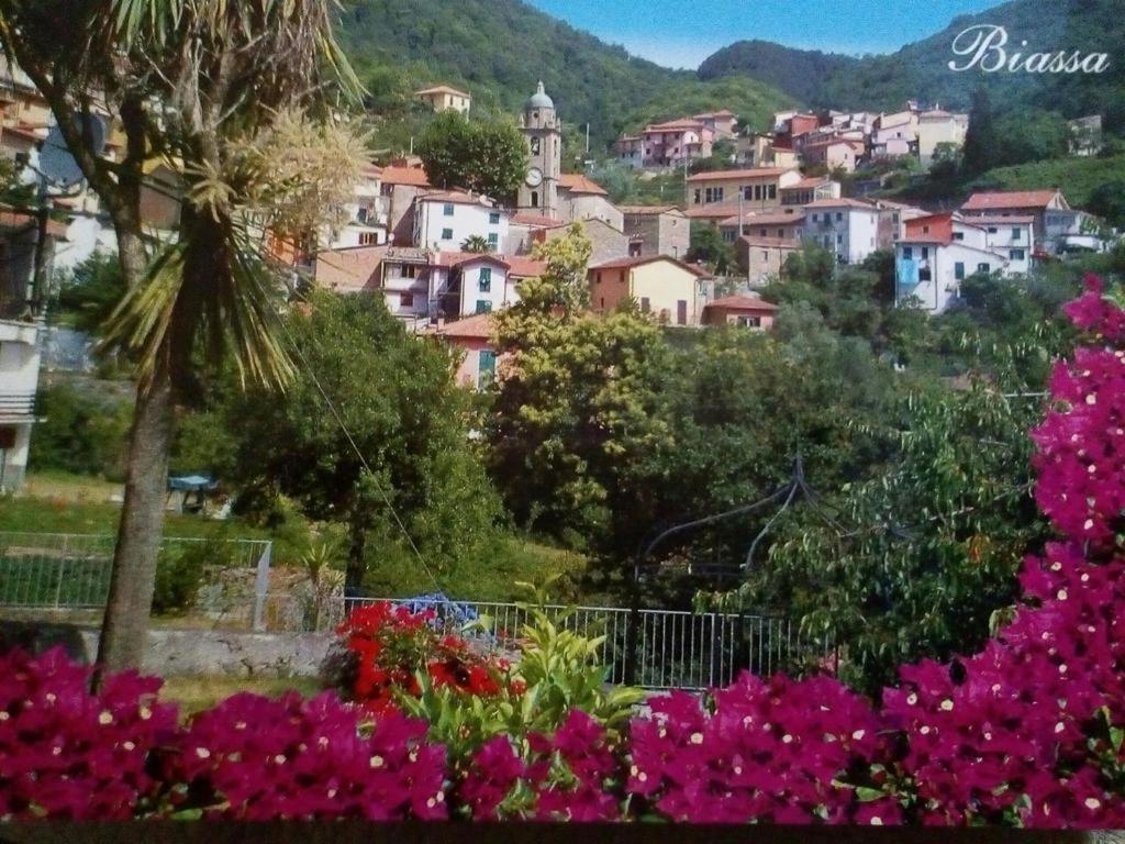 Casa Caterina Daire La Spezia Dış mekan fotoğraf
